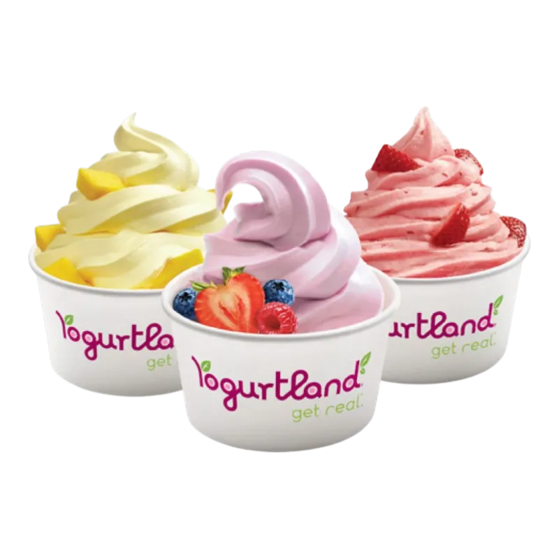 100 cc Baskılı dondurma kasesi İzmir Üretim