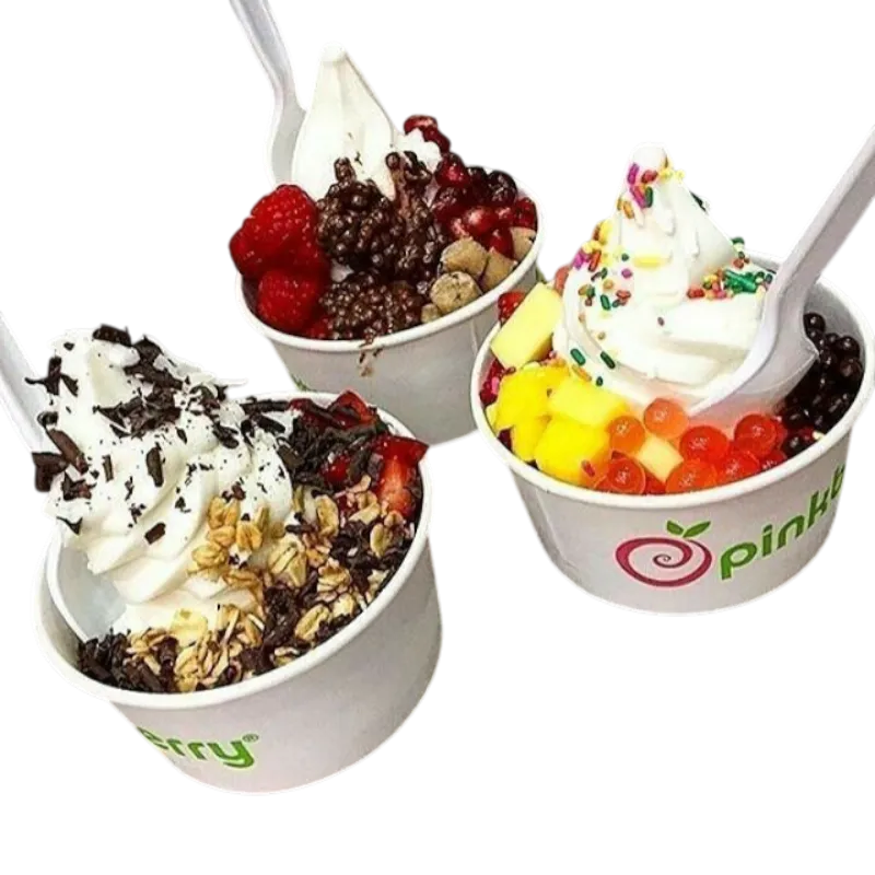 200 cc  Baskılı dondurma kasesi İzmir Üretim